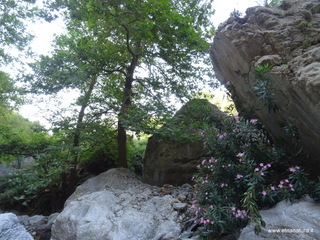 stoleone-09-08-2020 09